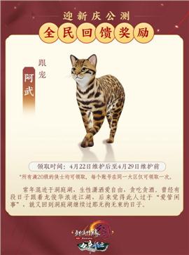 大众天龙八部私服